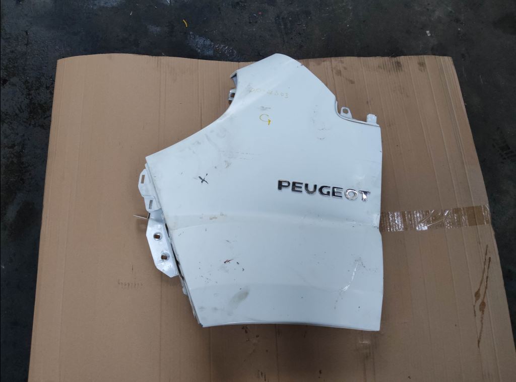 piece_PEUGEOT BOXER  AILE AVANT GAUCHE 1610458580