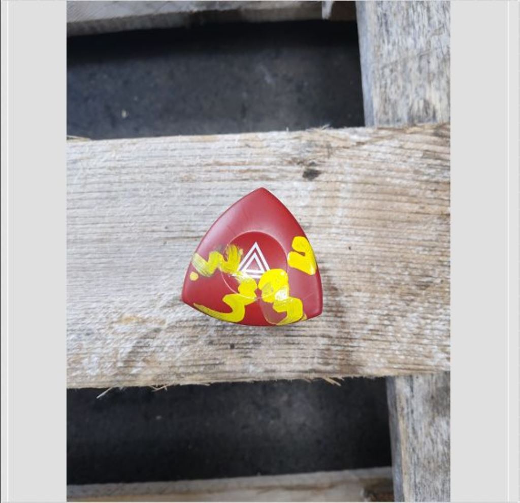 piece_RENAULT MASTER INTERRUPTEUR WARNING 252904889R