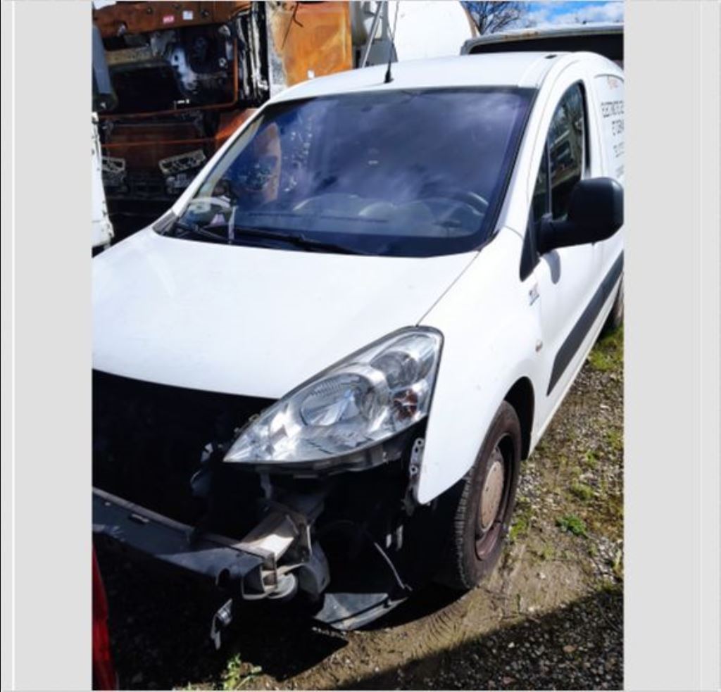 piece_PEUGEOT PARTNER  PORTE BATTANTE ARRIERE DROITE 8703E3